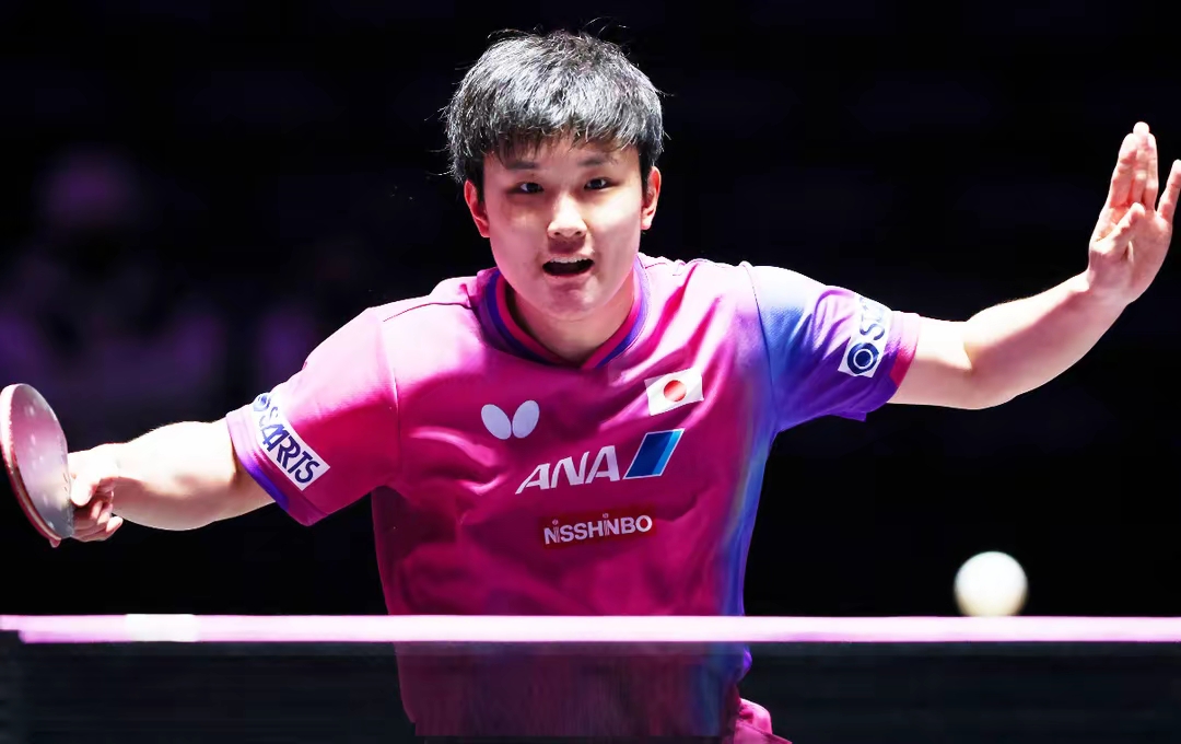 韩国队逆转波兰队，张本智和高光表现