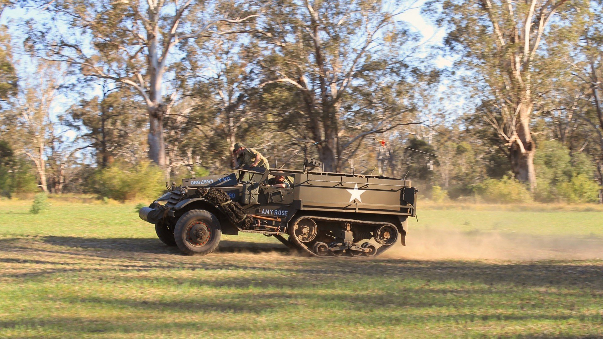 鬣群撕咬孤狮，当克莱的烈焰照亮森林狼的嗜血牢笼
