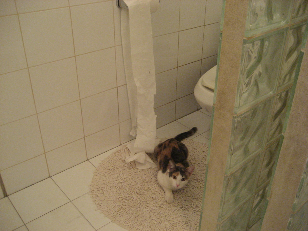 阴影与光刃的对决，当凤凰城太阳鏖战波士顿铁壁，哈利伯顿如何以非典型撕裂传奇