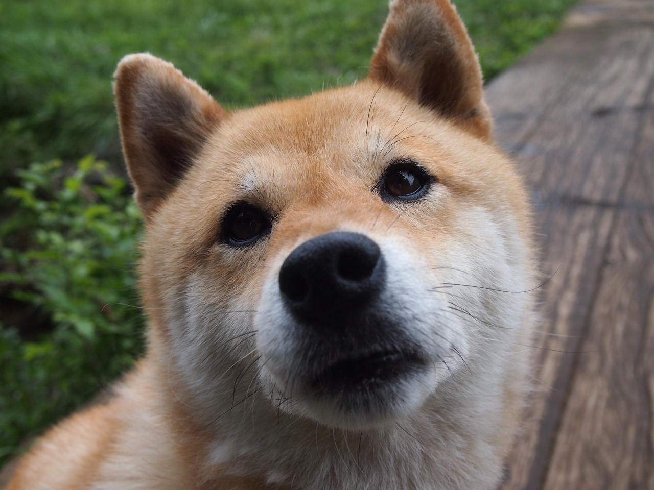 双面镜，伦纳德的独一性与撕裂宿命的两种方式