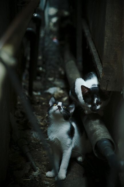 寒锋淬火，东决死战夜，那个被遗忘的名字成为破晓之刃