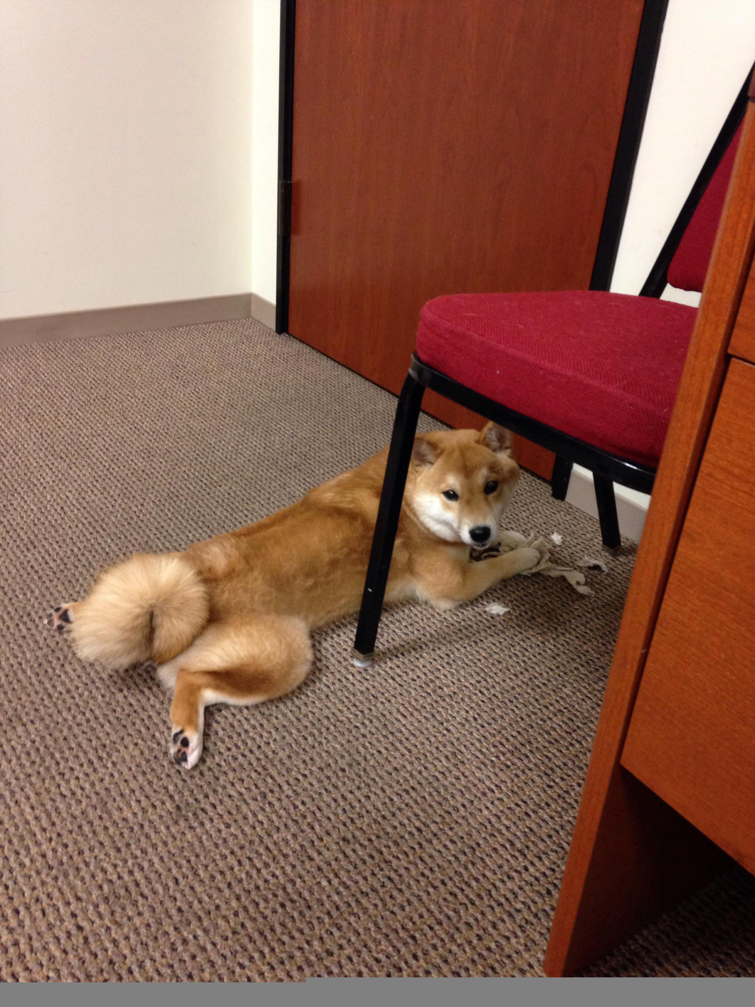 绿茵场破冰，当莫德里奇在封锁线上踢出关键先生的弧线