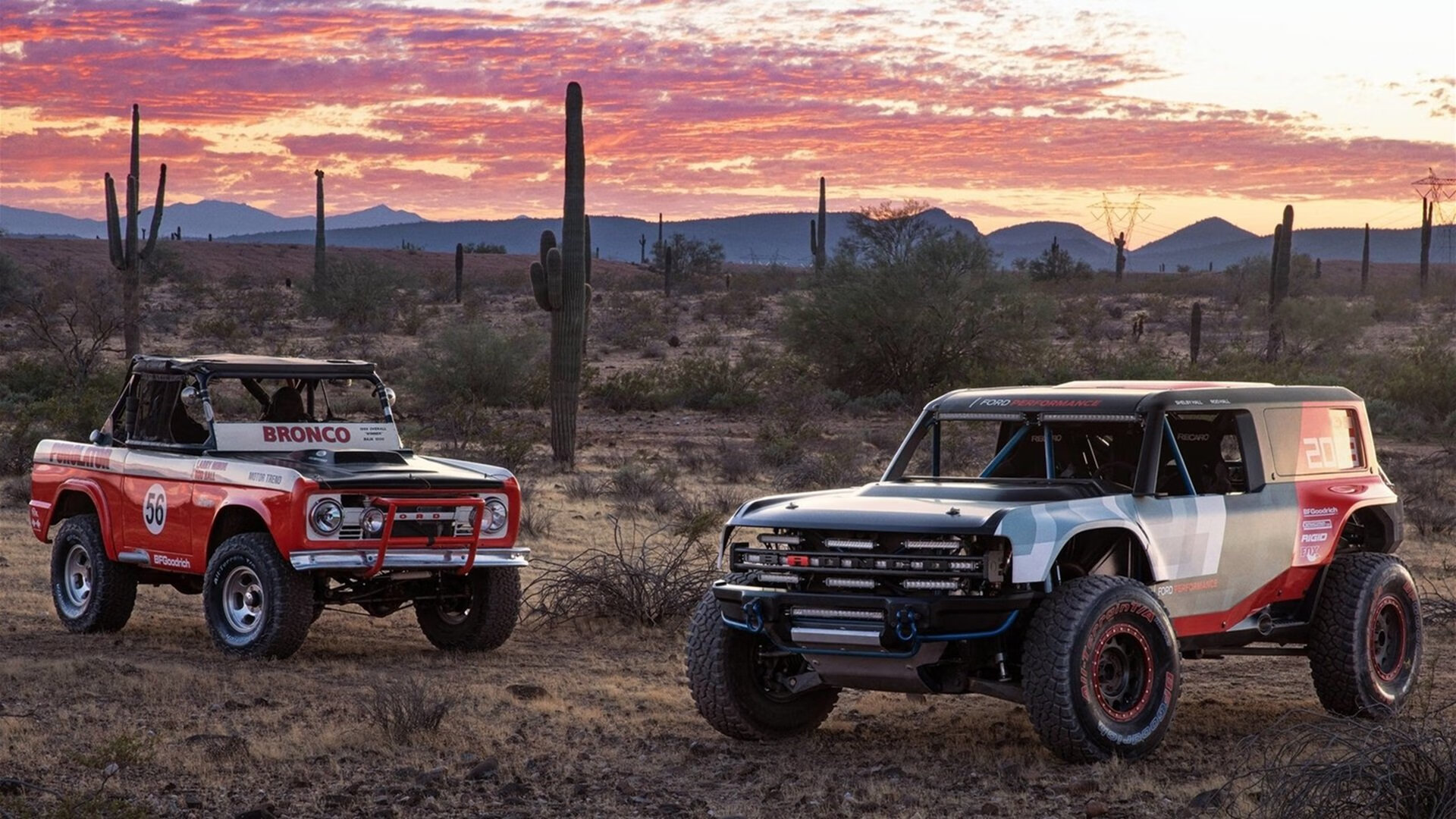 佛罗伦萨的蝴蝶，委内瑞拉的悬念，与伯纳乌的君主，一场穿越时空的足球奏鸣曲