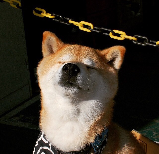 开云体育入口-大场面先生西亚卡姆的传奇光芒与骑士生死战逆转黄蜂的韧性启示