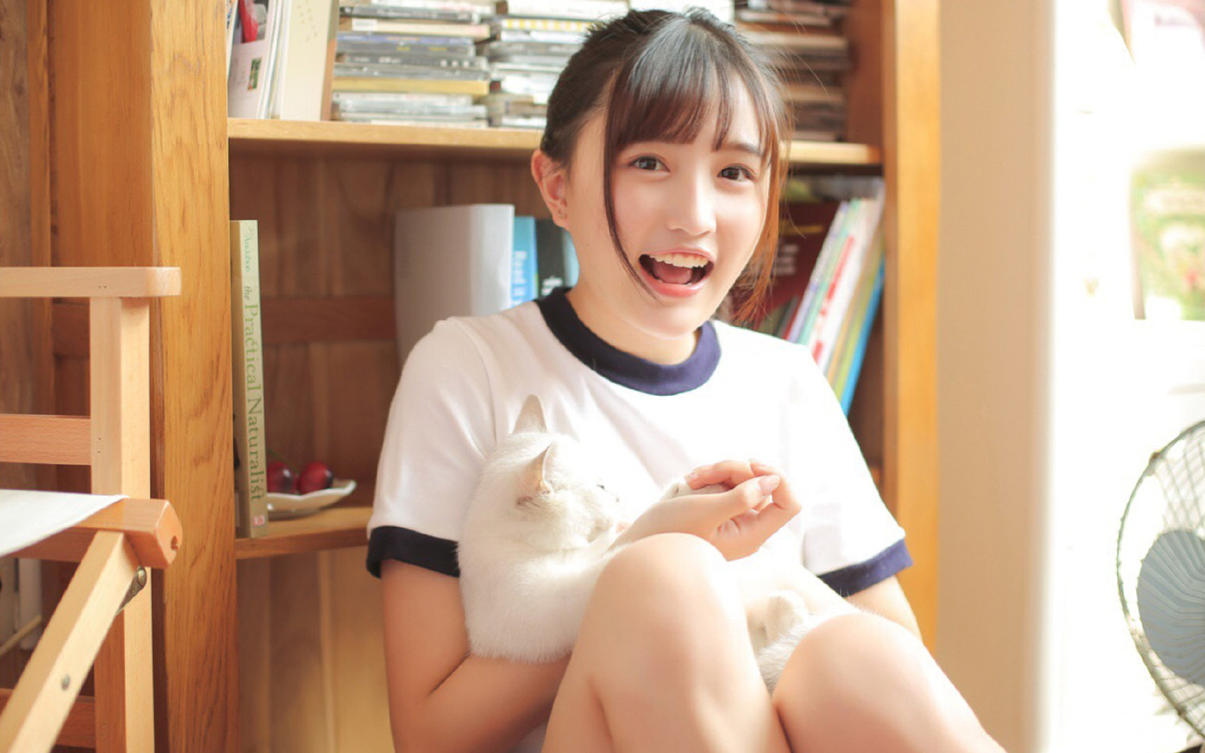 大场面先生西亚卡姆的传奇光芒与骑士生死战逆转黄蜂的韧性启示