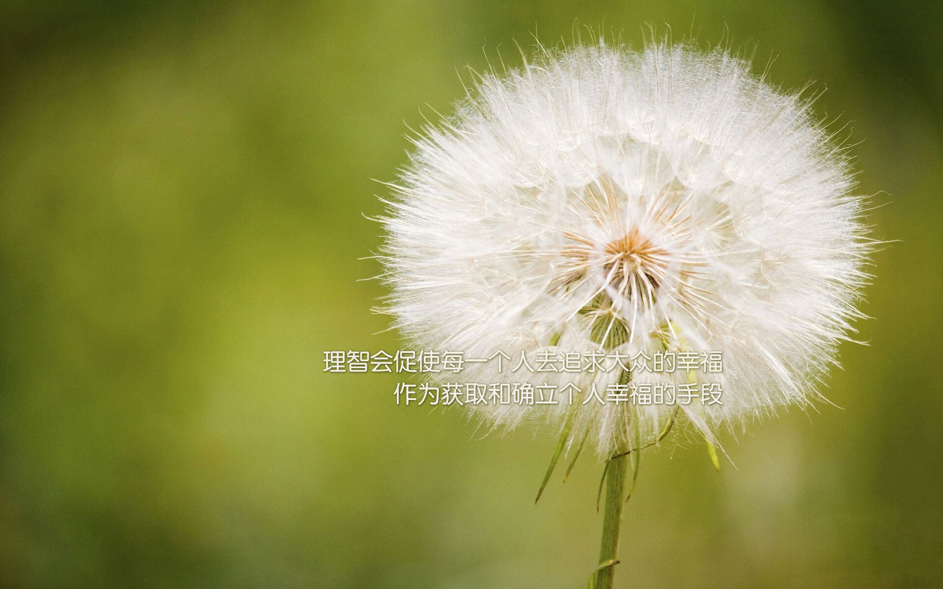 局外人法比尼奥，世界杯之夜，他以地图为师，数据为刃